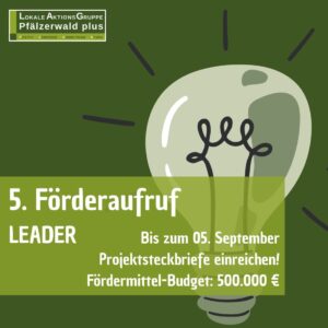 Förderaufruf bis zum 5. September 2025, LAG Pfälzerwald plus e.V.