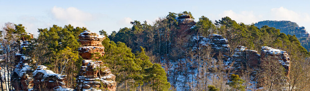 wfg 070126 christoph riemeyer 36 winter 1000x295 wfg 070126 christoph riemeyer 36 winter 1000x295