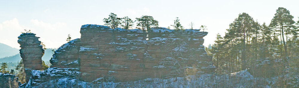 wfg 070126 christoph riemeyer 40 winter 1000x295 wfg 070126 christoph riemeyer 40 winter 1000x295