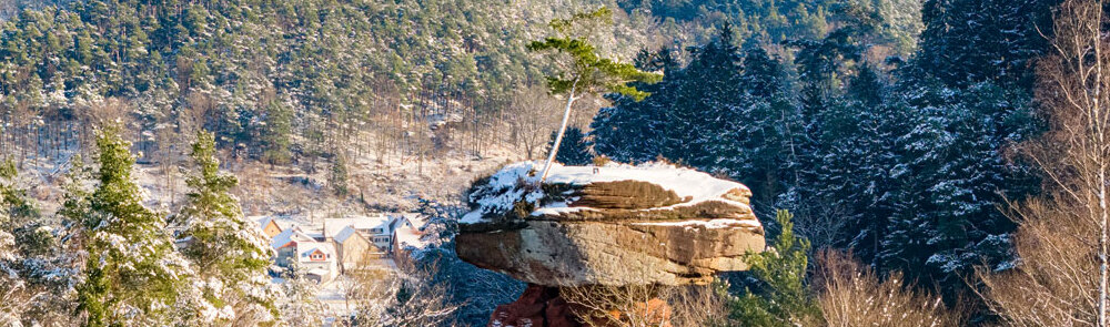 wfg 070126 christoph riemeyer 52 winter 1000x295 wfg 070126 christoph riemeyer 52 winter 1000x295