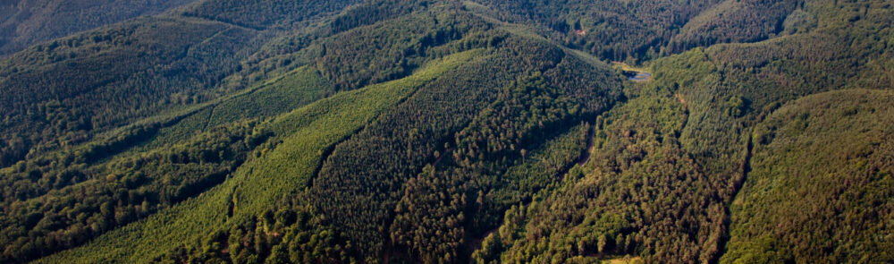 region pfälzerwoogfrischbachdahn kröher region pfälzerwoogfrischbachdahn kröher