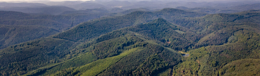 region pfälzerwoogfrischbachdahn kröher region pfälzerwoogfrischbachdahn kröher