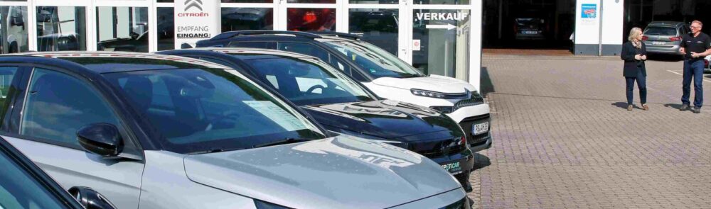autohaus hauck waldfischbach 13 web